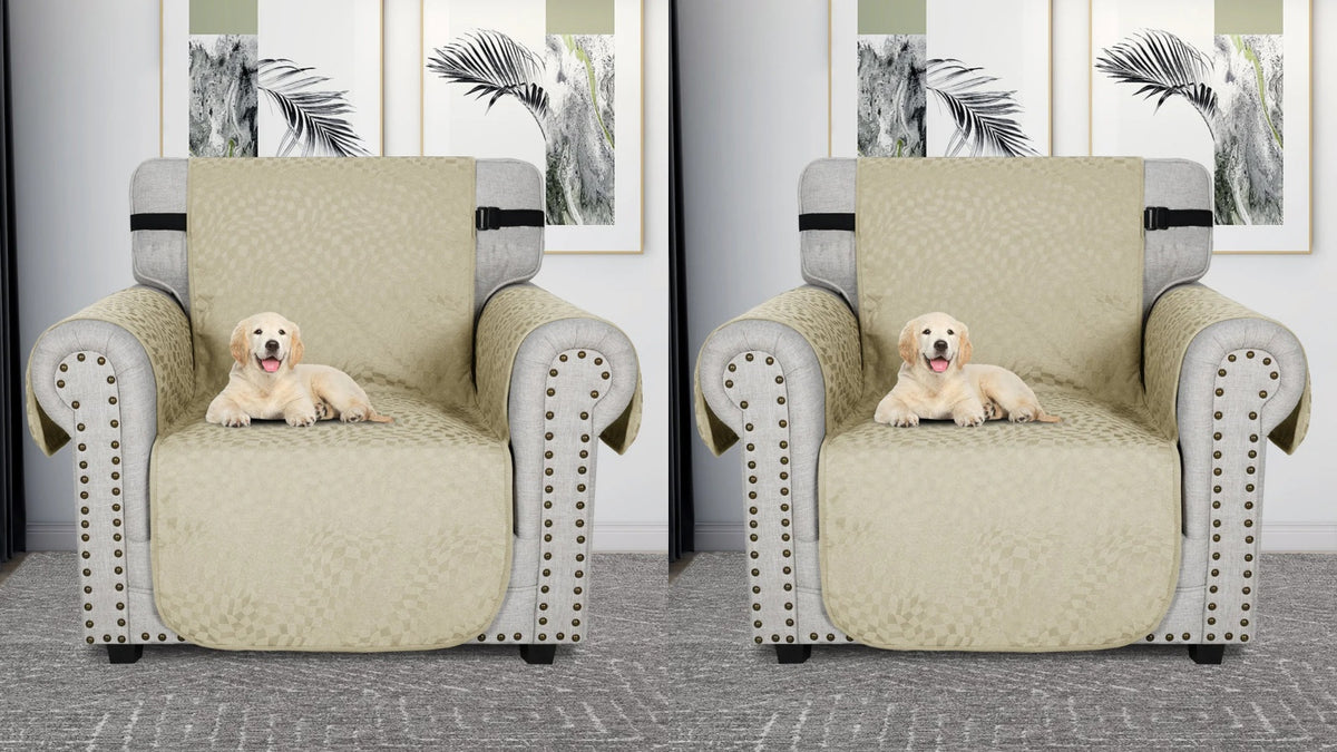 How to Choose PetFriendly Sofa Covers LavishCover